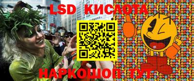 бошки Камышлов