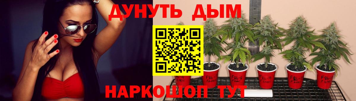 Марихуана Amnesia Ливны